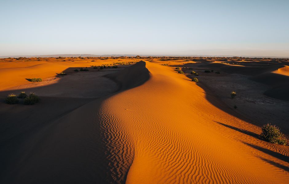 Serene landscape