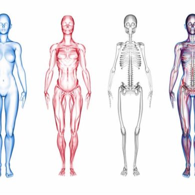 CCU 4 bodies (2) CCU 4 bodies (2)