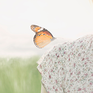 butterfly on shoulder