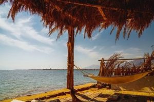 hammock on beach