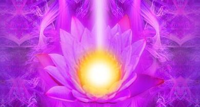 purple lotus